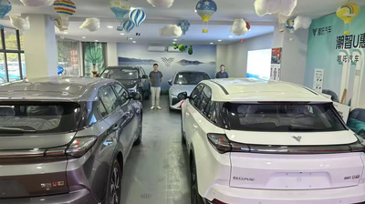 중국 Shenzhen Lvhuazhou New Energy Vehicle Development Co., Ltd.