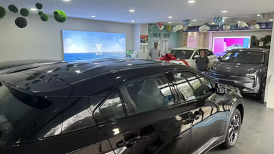 중국 Shenzhen Lvhuazhou New Energy Vehicle Development Co., Ltd.