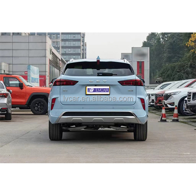맞춤형 WEY PHEV SUV 최대 토크 235 Nm 설계