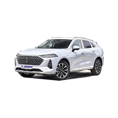 좌석 5 대벽 웬모카 중형 및 대형 SUV 하이브리드 모델 최대 190까지의 최대 속도