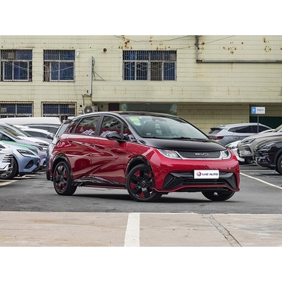 2024 BYD 돌고래 180Nm 토크와 높은 비용 효율성을 가진 장거리 마이크로 자동차