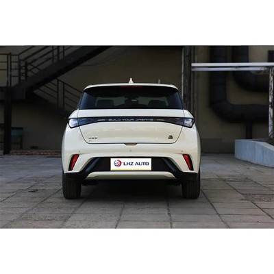 BYD 돌핀의 2024년형 마이크로카 100% 전기 연료와 1시간 충전 시간