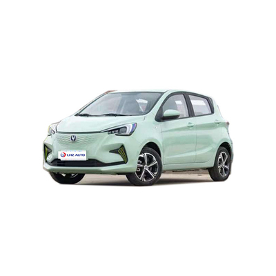 2024 EV Car The and Beautiful 전기 SUV 차간 벤벤 E-스타 310km 범위
