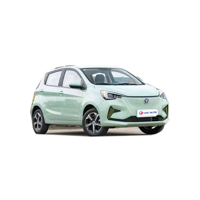 2024 EV Car The and Beautiful 전기 SUV 차간 벤벤 E-스타 310km 범위