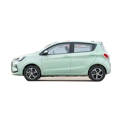 2024 EV Car The and Beautiful 전기 SUV 차간 벤벤 E-스타 310km 범위