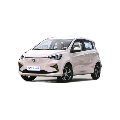 2024 EV Car The and Beautiful 전기 SUV 차간 벤벤 E-스타 310km 범위