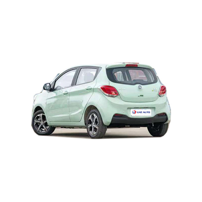 2024 EV Car The and Beautiful 전기 SUV 차간 벤벤 E-스타 310km 범위