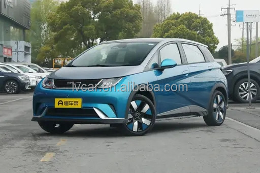 사용중인 Byd Haitun 돌고래 전기차 0.5시간 충전시간 420km 크루즈 범위
