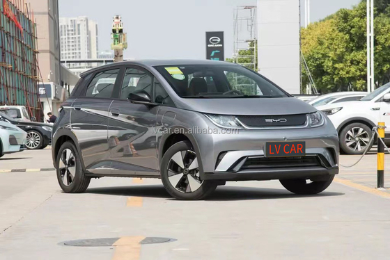 전기 BYD 하이툰 돌고래 자동차 성인용 2024 모델 5자리 빠른 0.5시간 충전