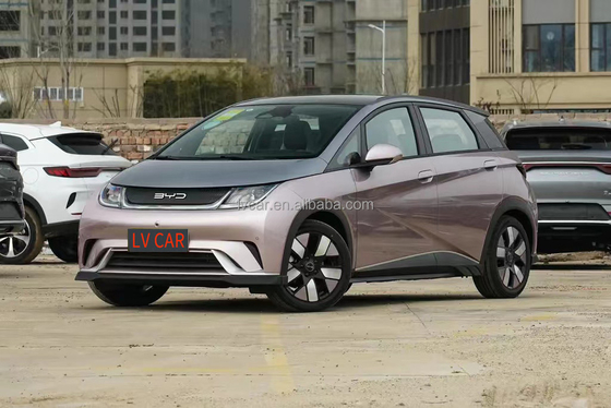 전기 BYD 하이툰 돌고래 자동차 성인용 2024 모델 5자리 빠른 0.5시간 충전