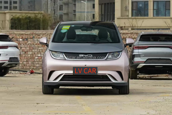 전기 BYD 하이툰 돌고래 자동차 성인용 2024 모델 5자리 빠른 0.5시간 충전