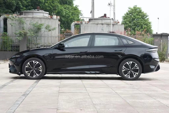 BYD 밀폐와 뛰어난 성능 100% 전기 연료 선택