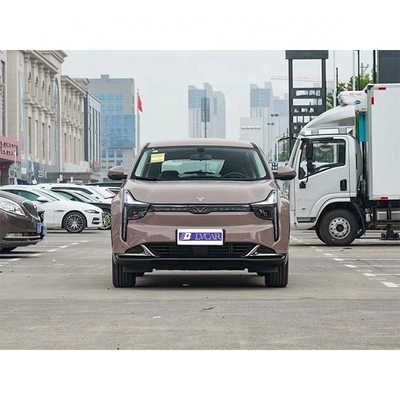 네타 U-II 500의 최신 전기 SUV 가구 500km 순수 전기 범위 브라운