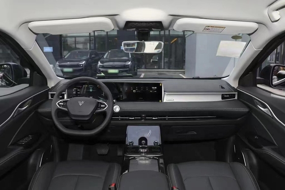 네타 U-II 500의 최신 전기 SUV 가구 500km 순수 전기 범위 브라운