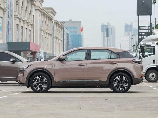 네타 U-II 500의 최신 전기 SUV 가구 500km 순수 전기 범위 브라운