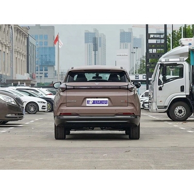 네타 U-II 500의 최신 전기 SUV 가구 500km 순수 전기 범위 브라운