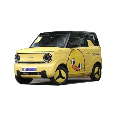 후면 카메라가 장착된 지일리 판다 미니 에너지 차량 200km 범위와 3 실린더