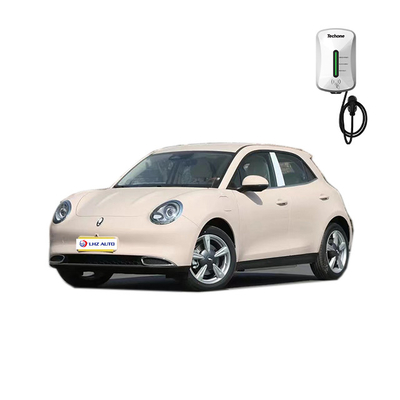 전기 후창 창 1개 키 리프팅 안티 핑크 AWD ORA Good Ballet Cat 2023 EV Car