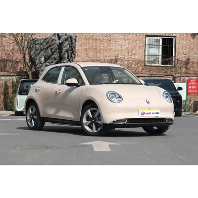 전기 후창 창 1개 키 리프팅 안티 핑크 AWD ORA Good Ballet Cat 2023 EV Car